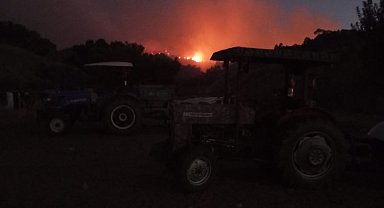 Manisa'da orman yangını