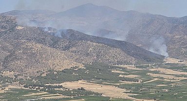 Manisa'da orman yangını