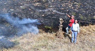 Manisa'da orman yangını