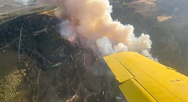 Manisa'da orman yangını