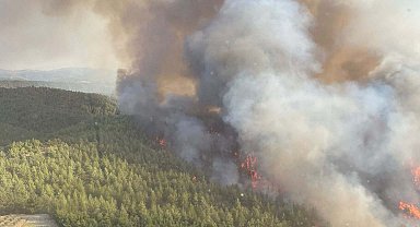 Manisa'da orman yangını