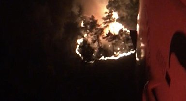 Manisa'da orman yangını