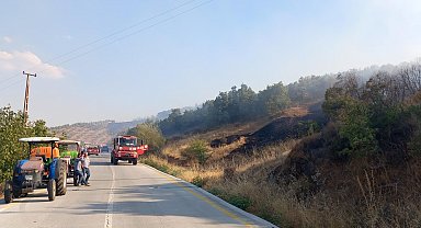 Manisa'da orman yangını