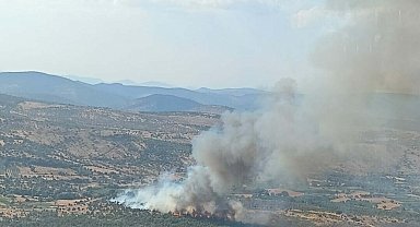 Manisa'da orman yangını
