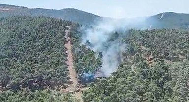 Manisa'da orman yangını