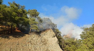 Manisa'daki orman yangını 3'üncü günde kısmen kontrol altında; 290 hektar alan zarar gördü