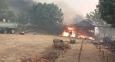 Manisa'daki orman yangını 3'üncü gününde; 2 mahalle tahliye edildi