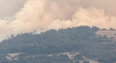 Manisa'daki orman yangını 4'üncü gününde