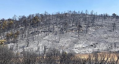 Manisa'daki orman yangını 6'ncı gününde