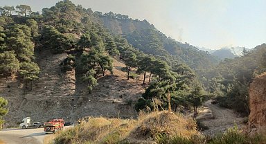 Manisa'daki orman yangınında 2'nci gün