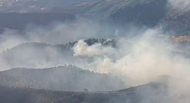 Manisa'daki orman yangınında 4'üncü gün