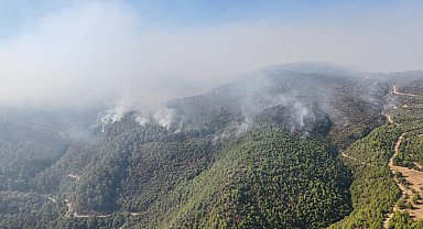 Manisa'daki orman yangınında 5'inci gün