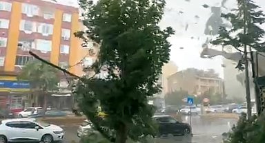 Marmaraereğlisi'nde sağanak ve kuvvetli rüzgar; ağaçlar devrildi, çatılar uçtu