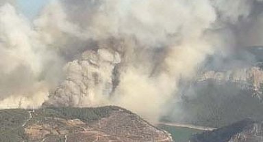 Menderes'te orman yangını