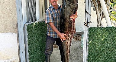 Meriç Nehri'nde 2 metrelik yayın balığı yakaladı