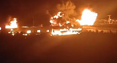 Mersin'de, limon paketleme tesisinde yangın