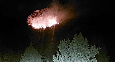 Mersin'de meyve bahçesinde yangın