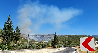 Mersin'de orman yangını