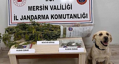 Mersin'de uyuşturucu operasyonunda 7 gözaltı