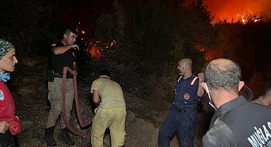 Milas'ta orman yangını