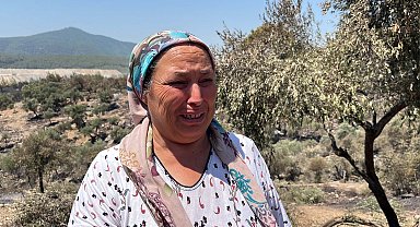 Milas'taki orman yangınında 2'nci gün; kontrol altında