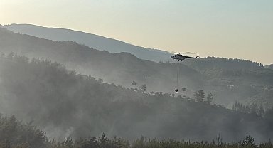 Milas'taki orman yangınında 2'nci gün