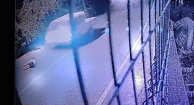 MUĞLA Bodrum'da kamyonetin ezdiği köpek öldü, o anlar kamerada