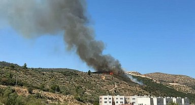 Muğla'da makilik yangını