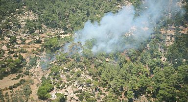 Muğla'da orman yangını