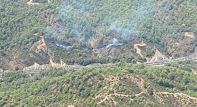Muğla'da orman yangını