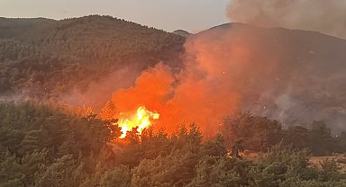 Muğla'da orman yangını