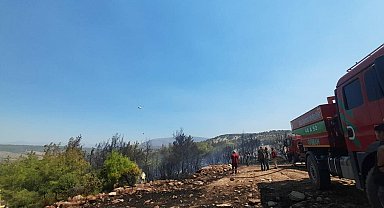 Muğla'daki orman yangını kısmen kontrol altında; 200 hektar alan zarar gördü