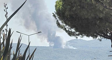 Muğla'nın 2 ilçesinde orman yangını