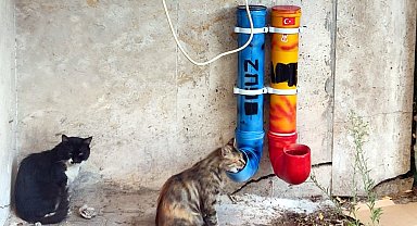 Muhtar ve çocuklar, sokak hayvanları için renkli mama ve su kapları hazırladı