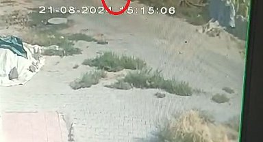 Narin'i arama çalışmaları 2'nci gününde: 'Sanki yer yarıldı içine girdi'