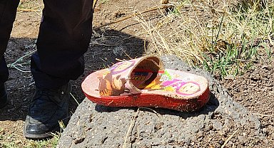 Narin'i arama çalışmaları 8'inci gününde; 1 şüpheli gözaltında