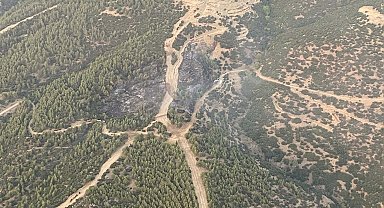 Nazilli'de çıkan orman yangını kontrol altına alındı