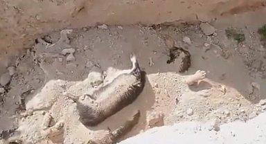 Niğde Belediyesi'nden 'hayvan mezarlığı' açıklaması