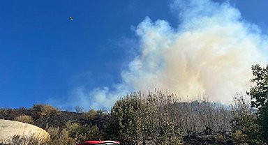 Ödemiş'te orman yangını