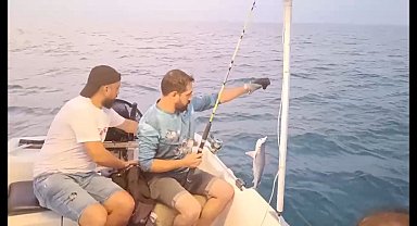 Oltasına yavru köpek balığı takıldı