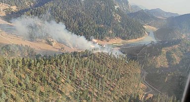 Osmaniye'de orman yangını