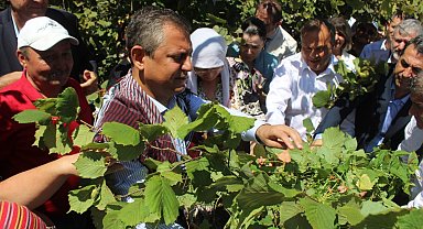 Özgür Özel: Açıklanan fındık fiyatı üreticiye ve fındıkla yaşayan kentlere ihanettir