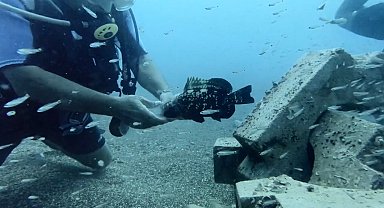 Plastik şişeye sıkışan nesli tehlike altındaki balığı kurtardı