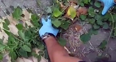 Polisi görünce uyuşturucuyu çalıların arasına atan torbacılar tutuklandı