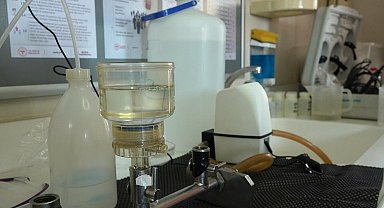 Prof. Dr. Değirmenci: Balık ölümleri ve kötü kokunun sebebi, İzmir yangınları da olabilir