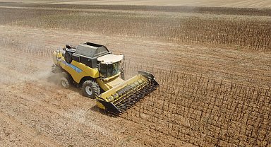 Prof. Dr. Orta: Sıcak kavurdu, biçilmeden tarlada bırakılabilecek düzeyde ayçiçekleri var