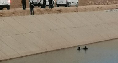 Serinlemek için girdiği sulama kanalında kayboldu
