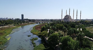 Seyhan Nehri'ni yeşile bürüyen yosunların boyu, 2 metreyi geçti