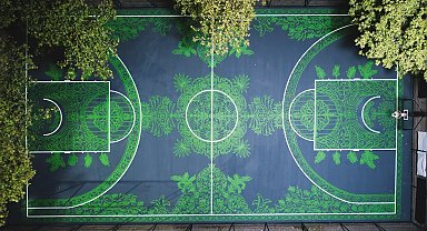 Shane Larkin, "Carpet Court" temalı basketbol sahası açtı