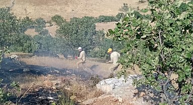 Siirt'te örtü yangını; 40 dönüm alan zarar gördü